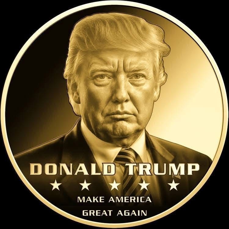 DONALD TRUMP 1/1000 Oz Gold Coin 3000 Francs Chad Coin | eBay