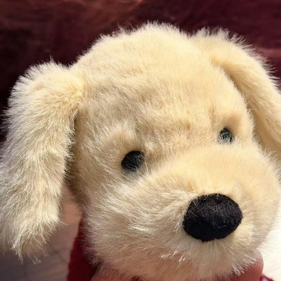 2026 New Jellycat Golden Puppy With Tags| The Perfect Gift, BNWT