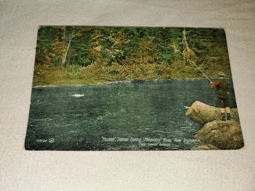 Fishing Miramichi River NB Vintage Postcard