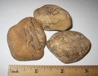 3 BEAUTIFUL TUMBLED POLISHED NATURAL PICTURE JASPER STONE MINERALS ~ 142.2g *5 — photo 6