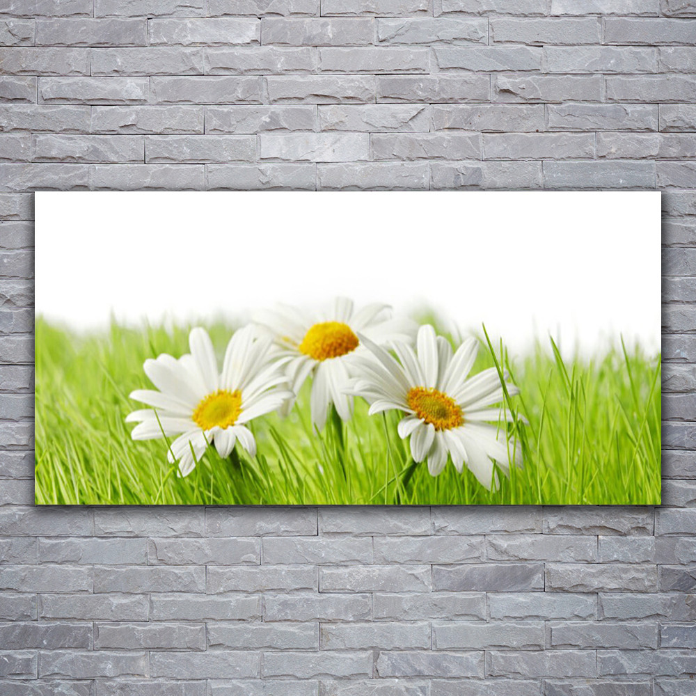 Impression 120x60 Floral Marguerite - Décoration Murale Nature Verre Acrylique Bureau
