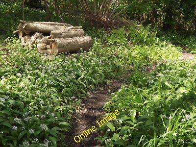 Photo 6x4 Tiptoe Through the Garlic Empshott Footpath passing through a l c2012