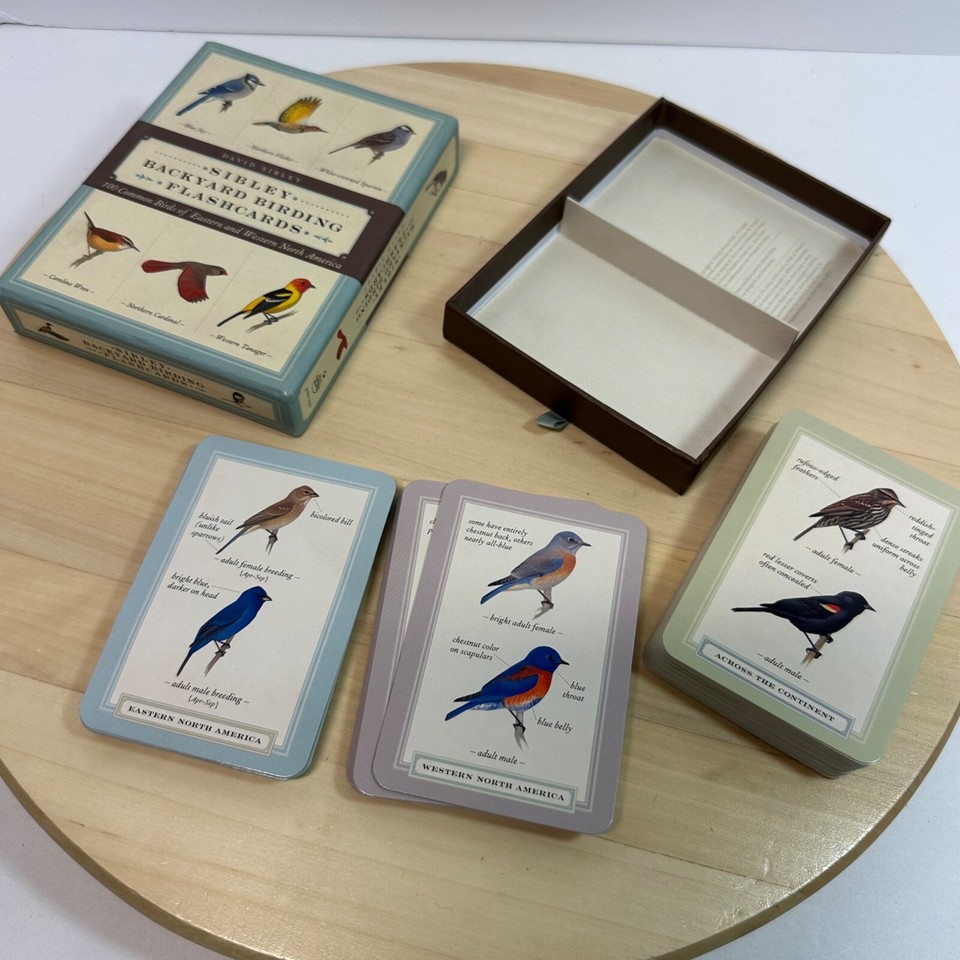 Sibley Birds Sibley Backyard Birding Flashcards 100 Common Birds North