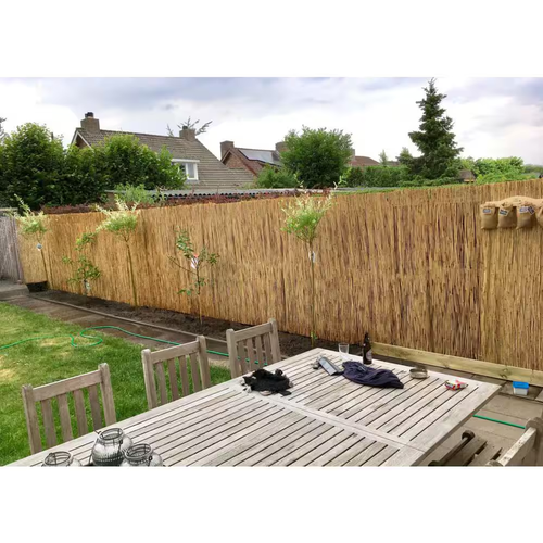 72 In. H X 168 In. W Natural Bamboo Reed Garden Fence - Picture 9 of 9