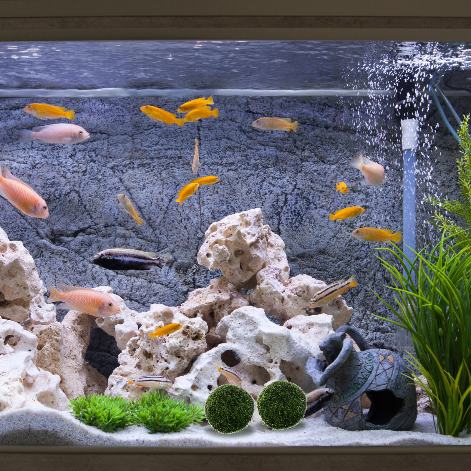 10X Marimo Moss Ball Cladophora Live Aquarium Plant Fish Aquarium Decor