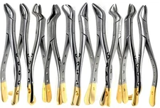 10 Surgical Dental Extracting Forceps Instruments-Lower Insicors Premolars Roots