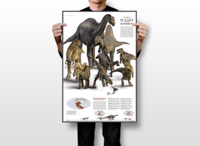 Sauropods Dinosaur National Geographic Dino Art Wall Room Poster