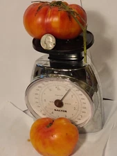 Big Rainbow, Organic, Heirloom, Delicious! - 15 seeds