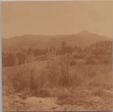 1951 Pike's Peak landscape Colorado 3x3 Original Photo