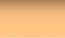 LED Folie Zircon 813 Warm Amber5, Bogen 0,58mx0,61m (4000K to 2900K minus green)