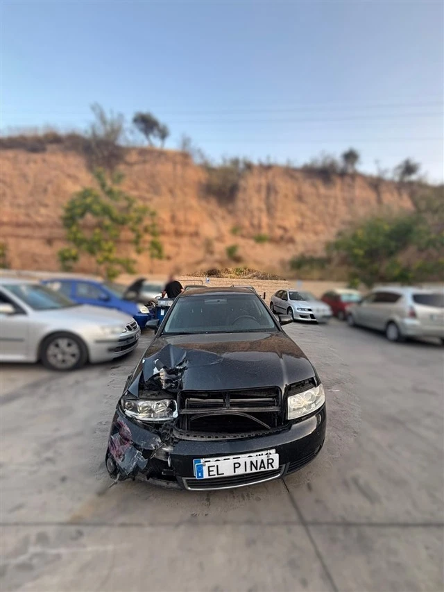 luz interior audi a4 1.9 tdi 2000-2004 2004 102143 Foto 2 de 4