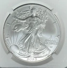 2025-P AMERICAN SILVER EAGLE DOLLAR ~NGC GEM UNC FIRST EAGLE PRIVY ONE OF 50,000