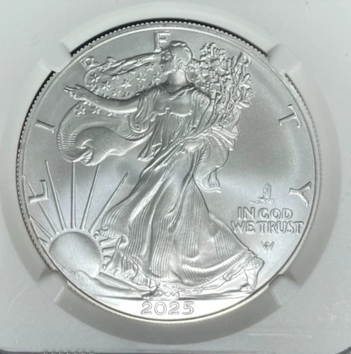 2025-P AMERICAN SILVER EAGLE DOLLAR ~NGC GEM UNC FIRST EAGLE PRIVY ONE OF 50,000