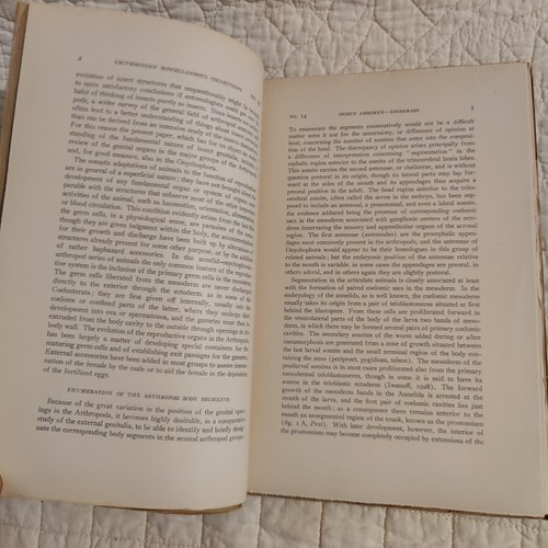 Rare 1936 Insect Abdomen Morphology pt 3 Smithsonian Publication 3396 Volume 95 - Bild 5 von 24