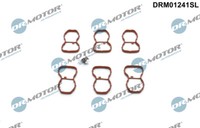 DRM01241SL Dr.Motor Automotive Reparatursatz, Saugrohrmodul FüR BMW