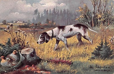 HUNTING DOG IN FIELD SPOTS GAME BIRDS, ARTIST IMAGE, Pub. by F.E.D. #164 ~ 1910s