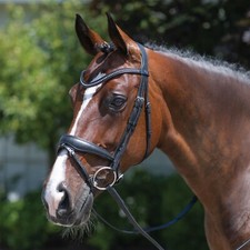 Premium Leather Dressage English Bridle for Horse, All Purpose English Bridle