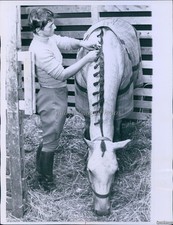 1960 Mrs M J Duckett Rockville Md Curls Mane Of Blue Nikie Animals 7X9 Photo