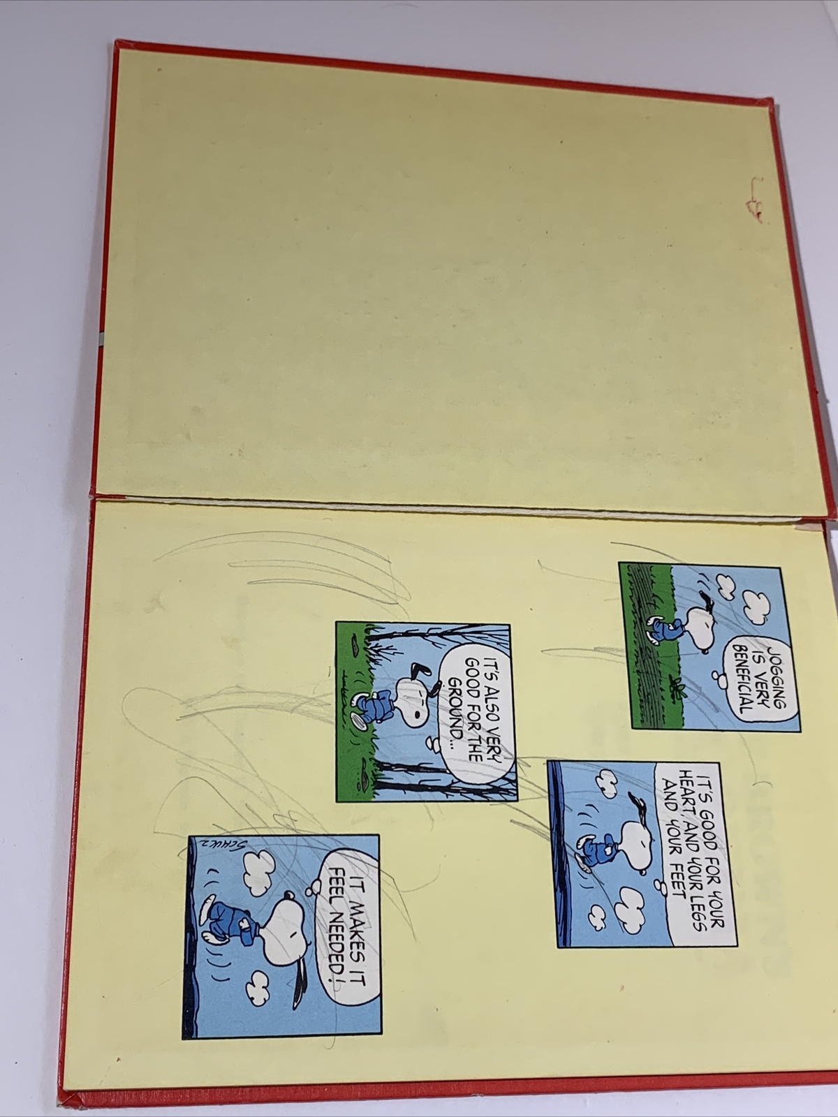 Picture 7 of 10