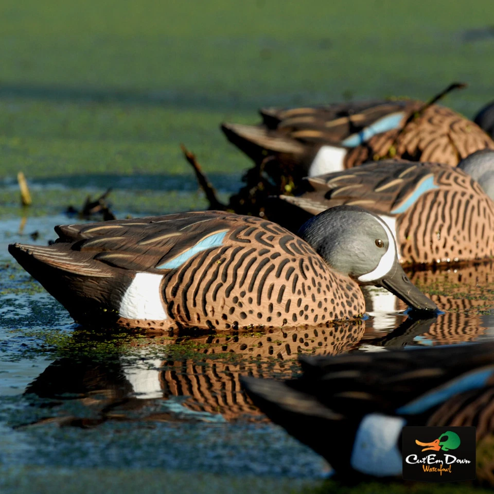AVERY OUTDOORS GREENHEAD GEAR GHG PRO GRADE BLUE WINGED TEAL DUCK DECOYS - Image 4 of 4