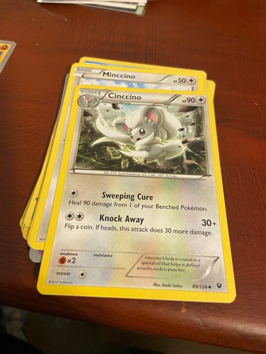 Pokemon Cinccino 89/124 Fates Collide Non Holo Uncommon