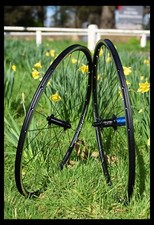 SALE! LETZTES PAAR! Tune Mig Mag Road / DT Swiss RR411 / Sapim CX-Ray Lightweight!