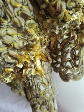 Atmosphere Ladies Acrylic Mix Green Scarf New