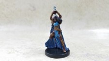 Female Human Barbarian 16 Heroes Series 2 D D Miniatures