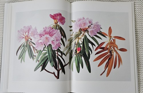 An Artist's Garden by Raymond Booth (Hardcover, 2000 Callaway) - Picture 6 of 6