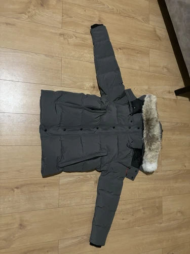 CANADA GOOSE Oca canadese grigia