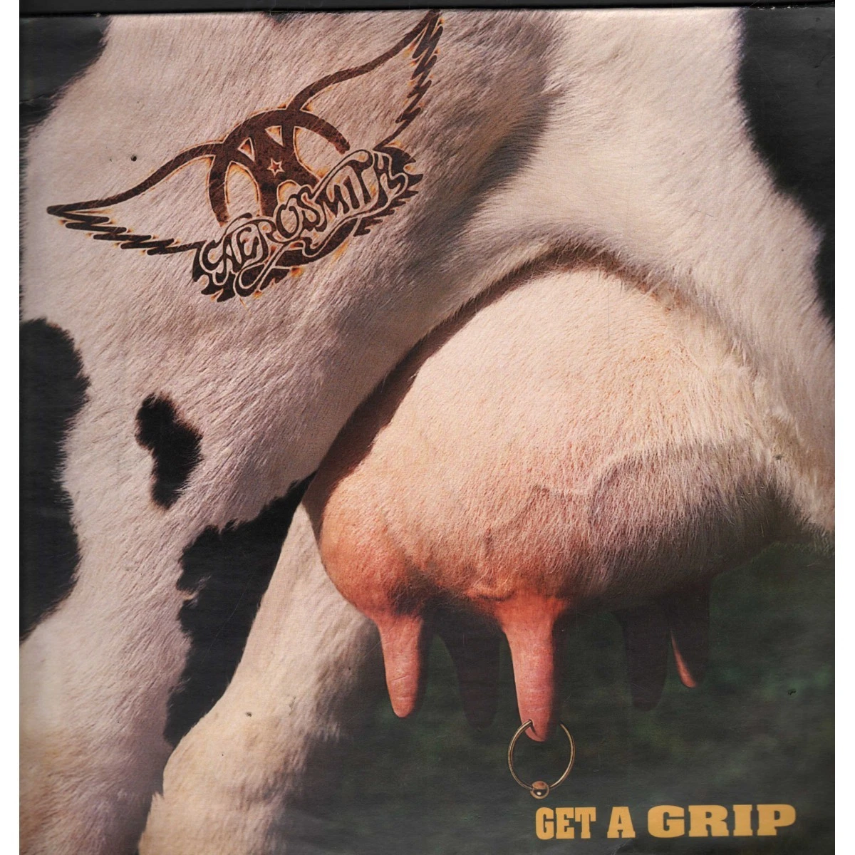 Aerosmith Get A Grip In Vinyl Records for sale | eBay