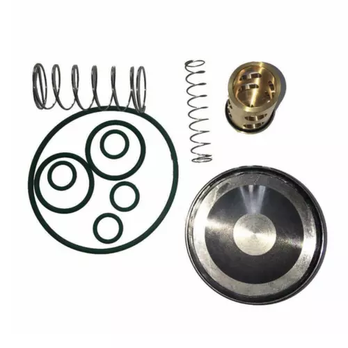 Check Valve Kit 2906067100 2906-0671-00 Atlas Copco Oil-free Compressor ZR55  - Picture 1 of 6