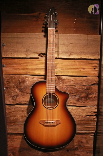 breedlove 12 string