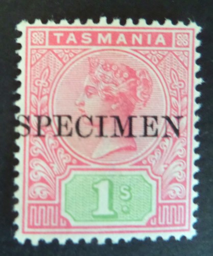 Tasmania 1892 SPECIMEN 1s rose & green p14 Watermark TAS lightly mounted mint
