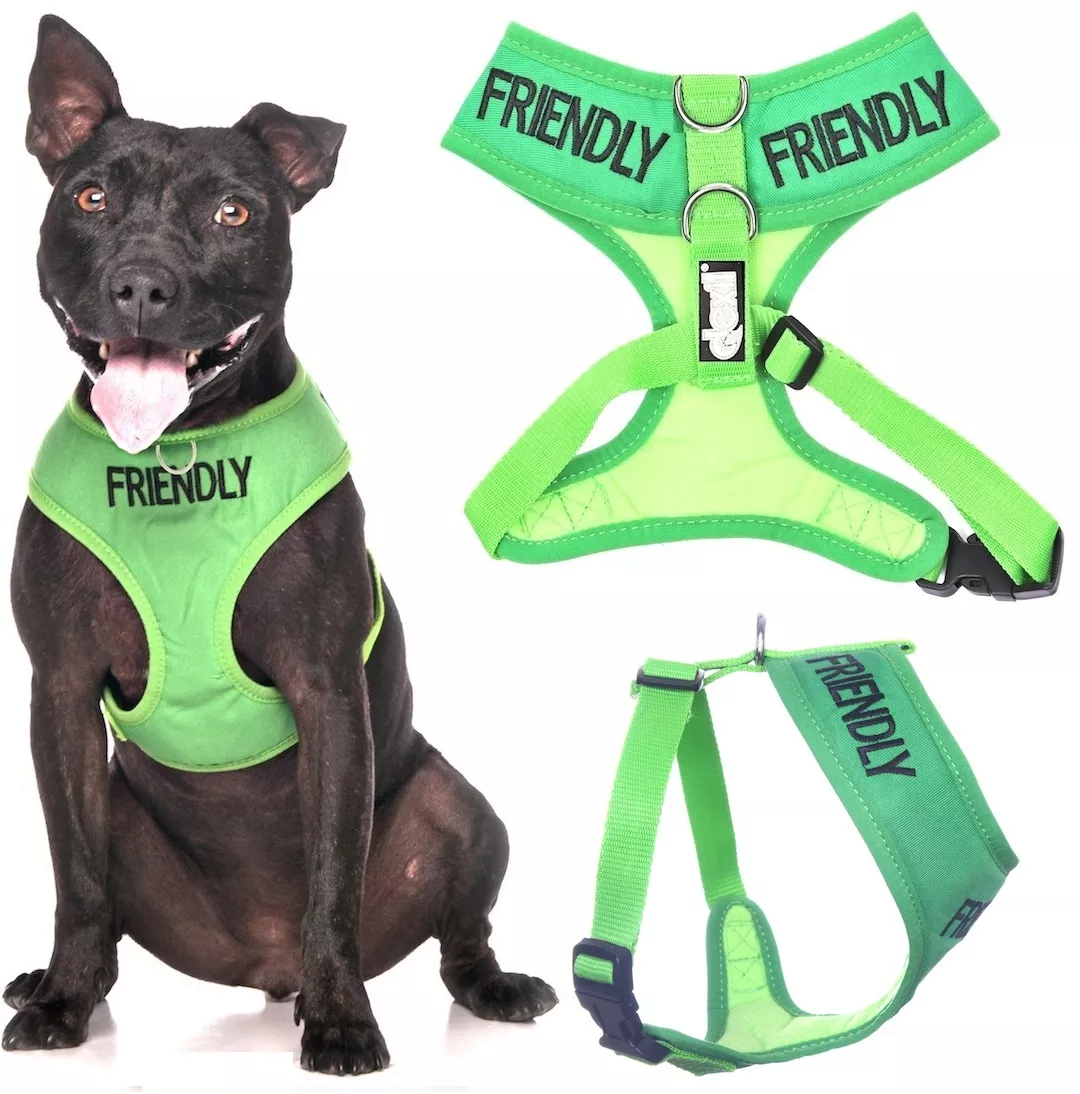 Canine friendly vest harness cheap canada