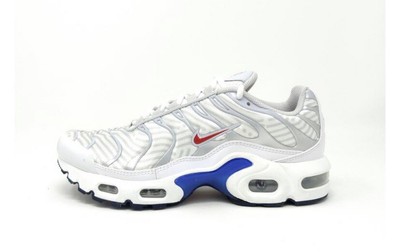NIKE AIR MAX PLUS TN Gs \