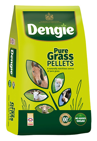 Dengie Grass Pellets 20kg