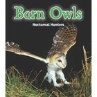 Barn Owls: Nocturnal Hunters by Rebecca Rissman (Hardback, 2014)
