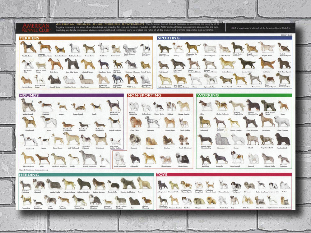 Purebred Dogs American Kennel Club Outdoor Kennel NEW Veterinary