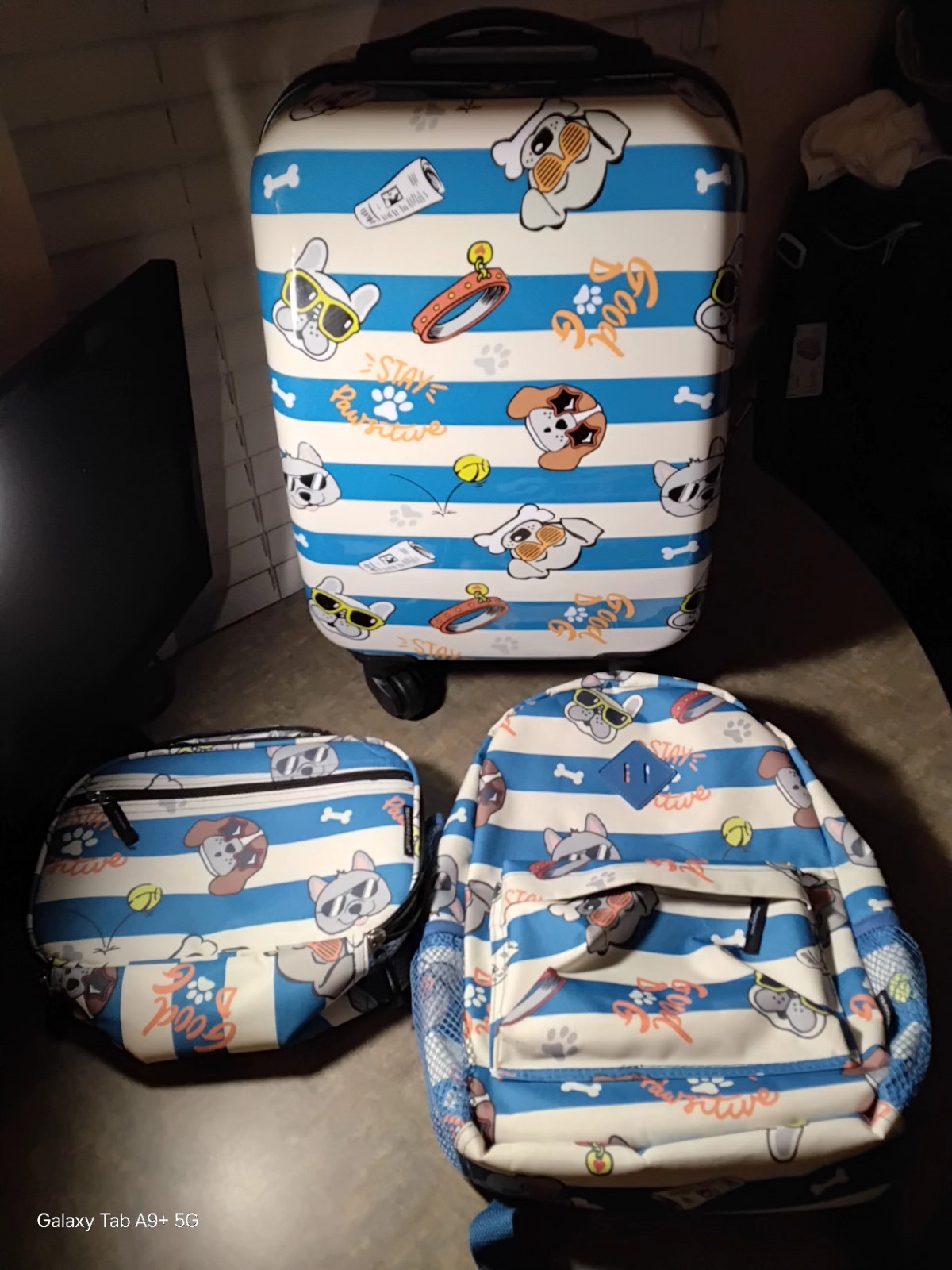 luggage for kids 4 piece Cool Dog 