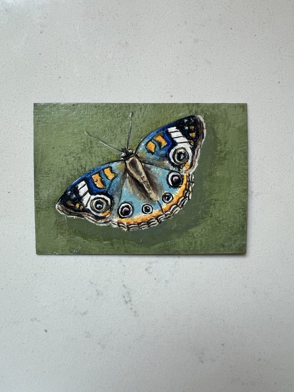 Signed Original ACEO Realism Buckeye Butterfly Miniature Painting Gallery Wall