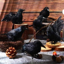 7Pcs Black Lifesize Raven Movie Prop Fake Crow Halloween Hunting Decor Bird Nest