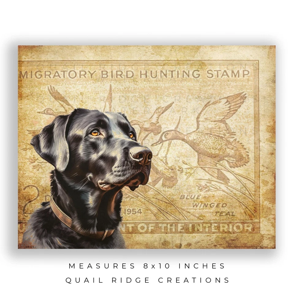Vintage Duck Hunting Stamp Art Print 8X10 Black Lab Dog Fishing Cabin Wall Decor - Image 2 of 4