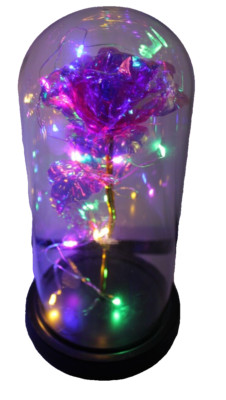 Pink Ethernal Rose w LED Lights n Glass Dome Mothers Valentines Anniversary Gift