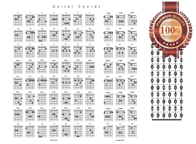 4 String Tenor Banjo Chord Chart