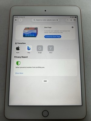 Apple iPad mini (5th Generation) A2133 256 GB, Wi-Fi, 7.9 in