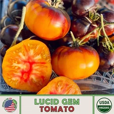10 Lucid Gem Tomato Seeds, Organic, Open-Pollinated, Non-GMO, Genuine USA