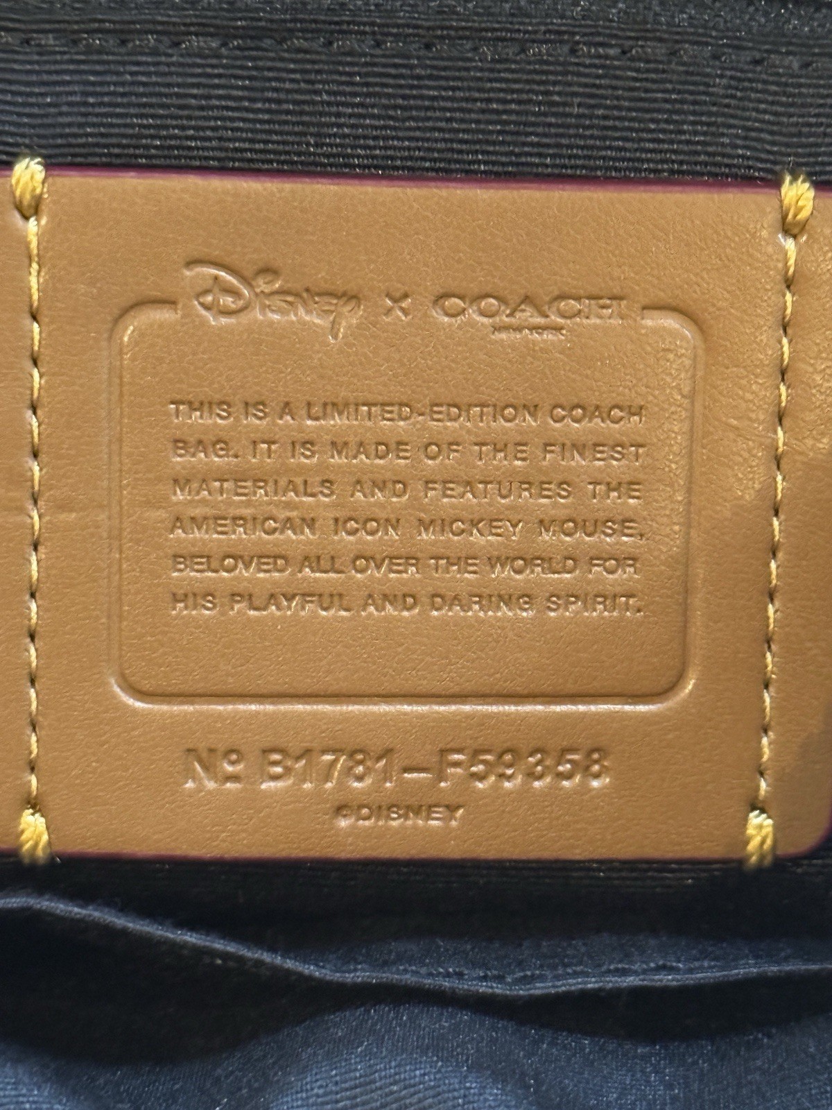 Limited Edition COACH Charlie Bandana  Mickey Backpack  F59353 Disney RARE NWT image 4