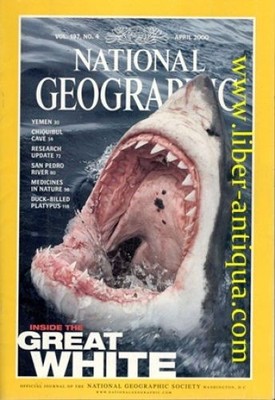 National Geographic - Vol 197, No 4 - Inhalt: inside the great white, yemen, chi