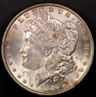 1887 MORGAN SILVER DOLLAR Toned FRESH FROM A LOCAL COLLECTION LOT AA 8248
